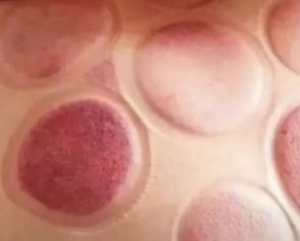 图片3.png 图片3.png