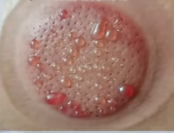 图片6.png 图片6.png