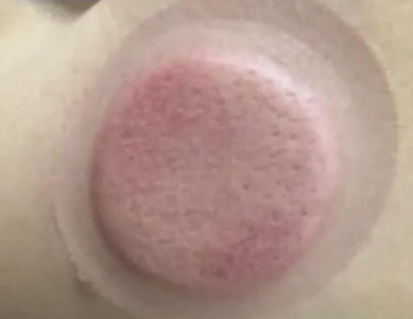 图片4.png 图片4.png